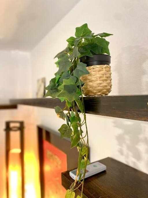 Acogedor Y Tranquilo Cerca De Las Setas - Centro إشبيلية المظهر الخارجي الصورة